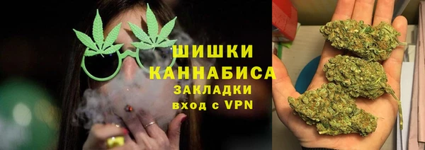 шишки Армянск