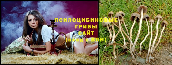 шишки Армянск