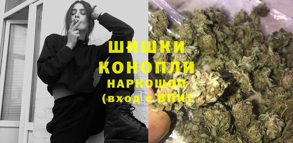 шишки Армянск