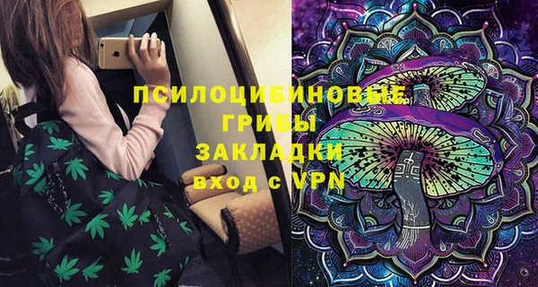 стафф Карпинск
